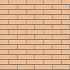 Кирпич керамический лицевой ЖКЗ соломенный дерево 1 НФ